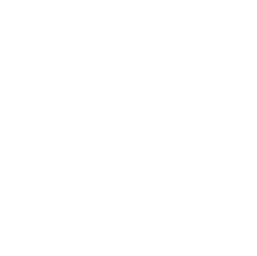 attr-178-ico